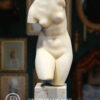 Torso de Venus