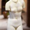 Torso Venus de Cnido Torse Vénus de Cnide