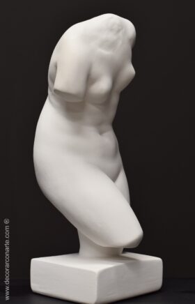 torso Venus escayola