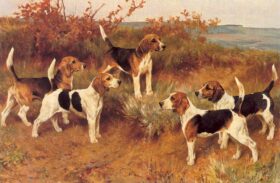 Perros. Lienzo de Arthur Wardle