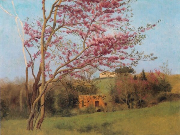 Study: Blossoming of the Red Almond. Canvas by Godward (1861-1922)