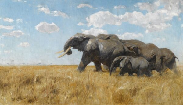 Elephants on a march. Canvas by Friedrich Kuhnert Wilhelm