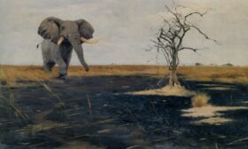 El elefante solitario. Lienzo de Friedrich Kuhnert Wilhelm