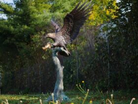 Figura de bronce. Águila. 233x100x167 cm.