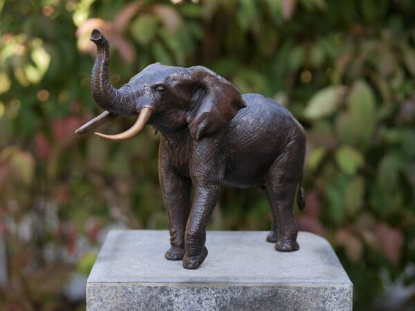 Bronze figure. Elephant. 29x14x37 cm