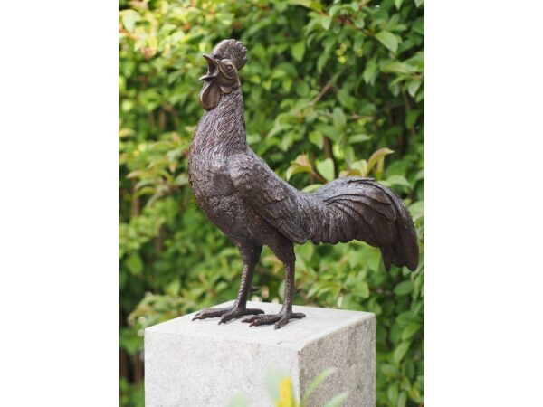 Bronze figure. Rooster. 50x25x53 cm