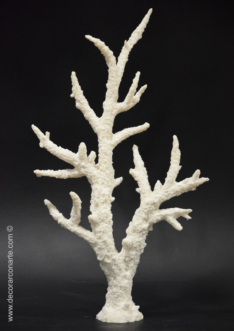 Coral Branch. Reproduction. H 54.5 x 30.5 x 10.5 cm. Natural art.