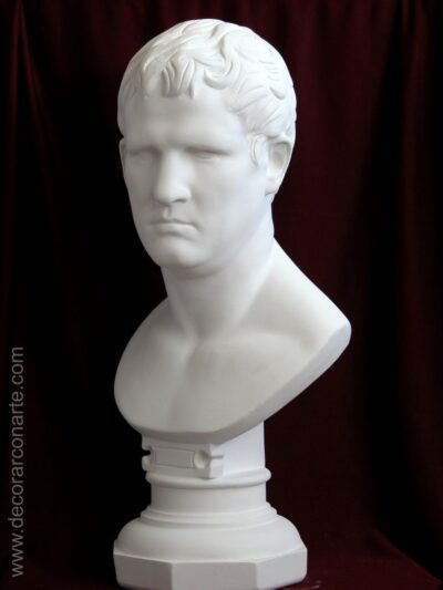 Busto di Agrippa. Gesso. 70 cm.