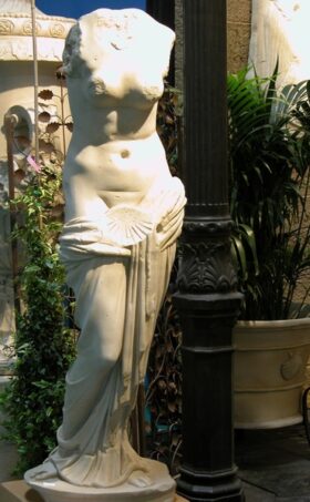 Venus de la concha