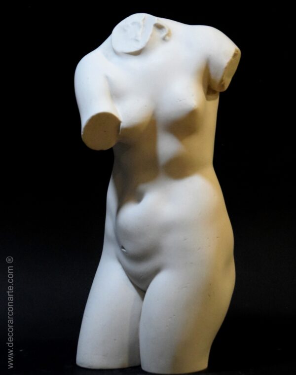 torso Venus